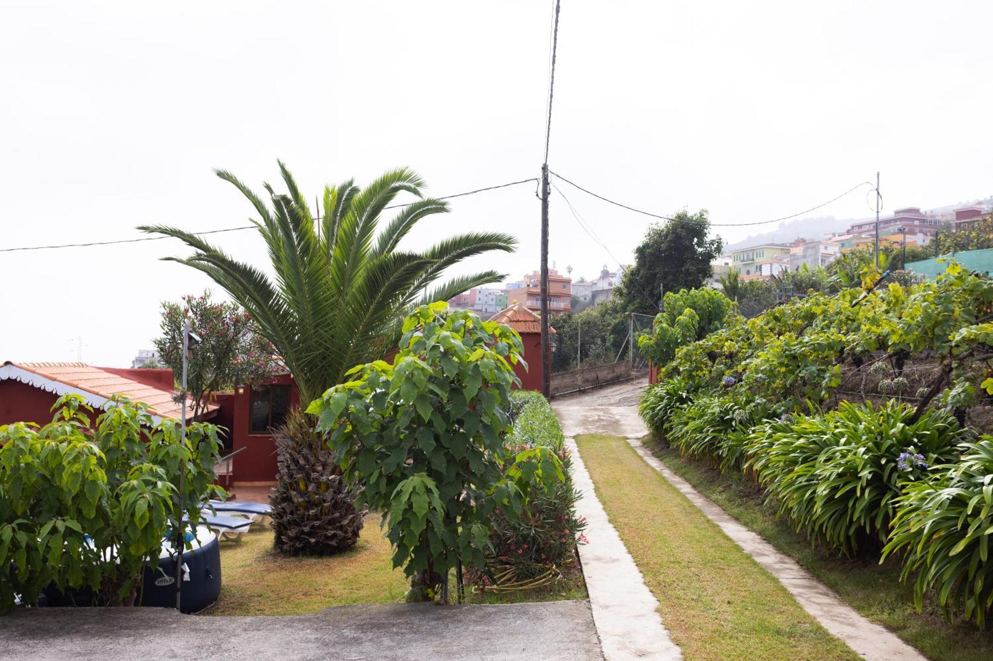Home2Book Serene Retreat Isabel, Jacuzzi & Garden Icod el Alto Exteriér fotografie